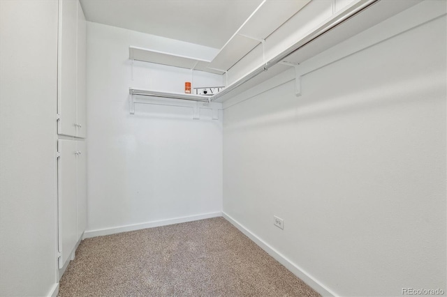 spacious closet with carpet floors