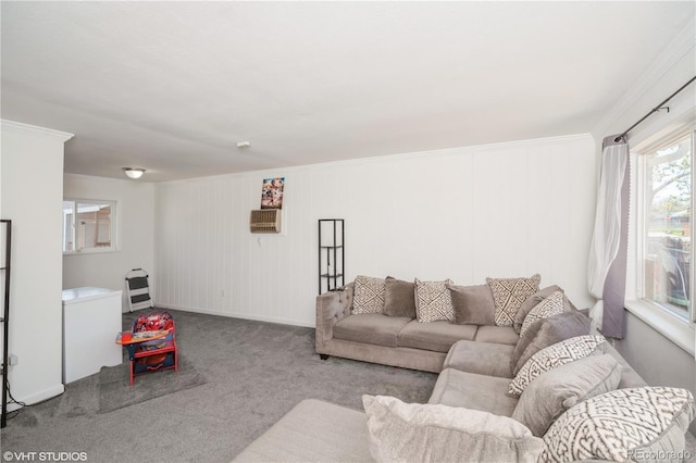 2080 E 84th Ave, Denver, CO 80229 - living room with carpet and baseboards