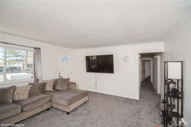 2080 E 84th Ave, Denver, CO 80229 - living room featuring ornamental molding, carpet, and baseboards