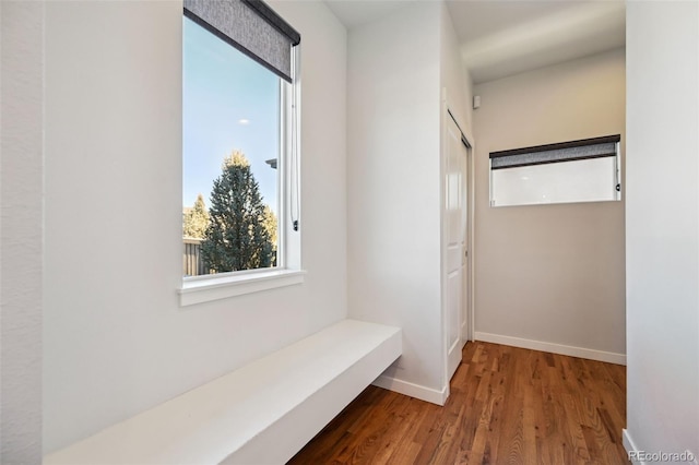 hallway with hardwood / wood-style floors