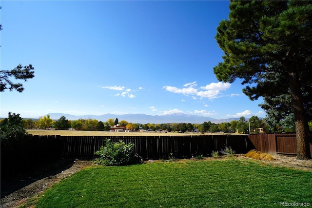 view of yard featuring a mountain view