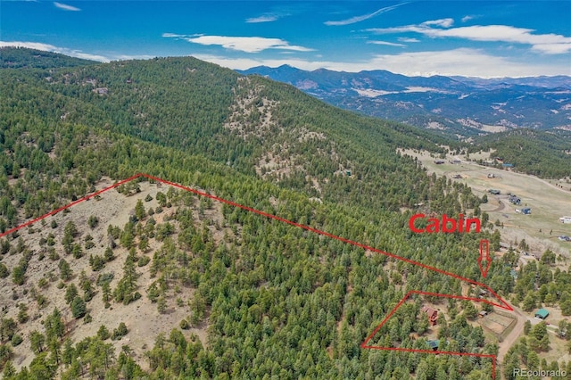 23778 Inca Rd, Indian Hills, CO 80454 - photo 35
