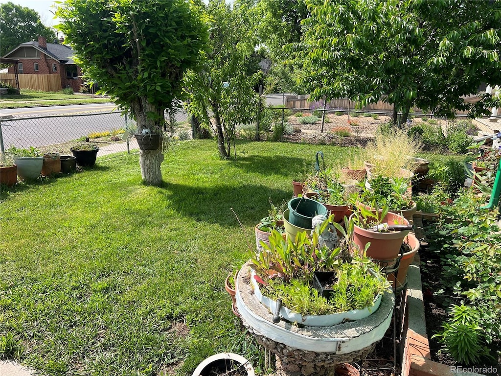 4047 Lowell Blvd, Denver, CO 80211 - view of yard
