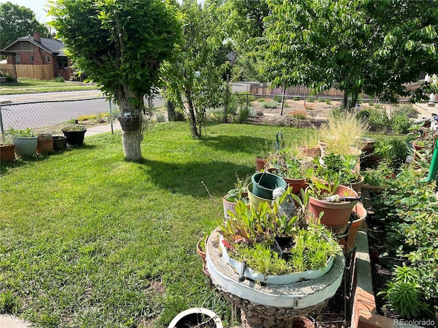 4047 Lowell Blvd, Denver, CO 80211 - view of yard