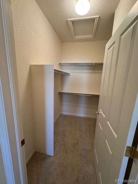 spacious closet featuring carpet and attic access