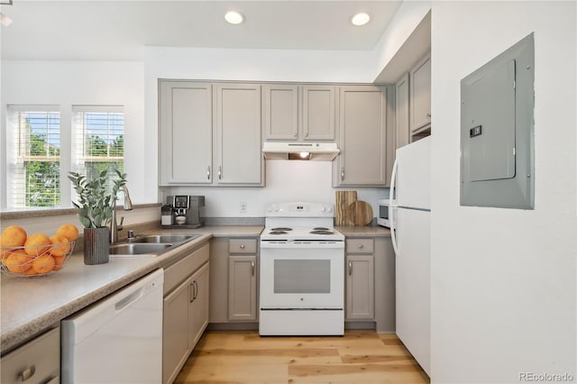 kitchen with light wood-type flooring, white appliances, electric panel, sink, and gray cabinetry