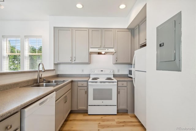 kitchen with gray cabinetry, light wood-type flooring, white appliances, electric panel, and sink