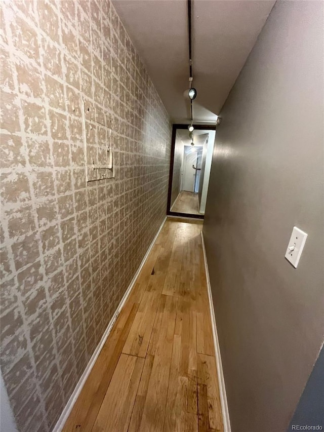 1245 N Race St Unit 306, Denver, CO 80206 - hallway featuring rail lighting and hardwood / wood-style flooring
