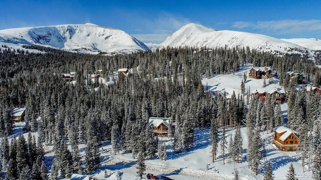 229 Lee Ln, Breckenridge, CO 80424 - photo 1