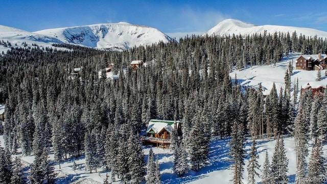 229 Lee Ln, Breckenridge, CO 80424 - photo 2