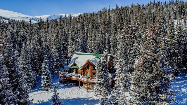 229 Lee Ln, Breckenridge, CO 80424 - photo 3