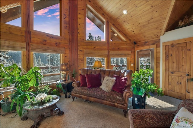 229 Lee Ln, Breckenridge, CO 80424 - photo 8