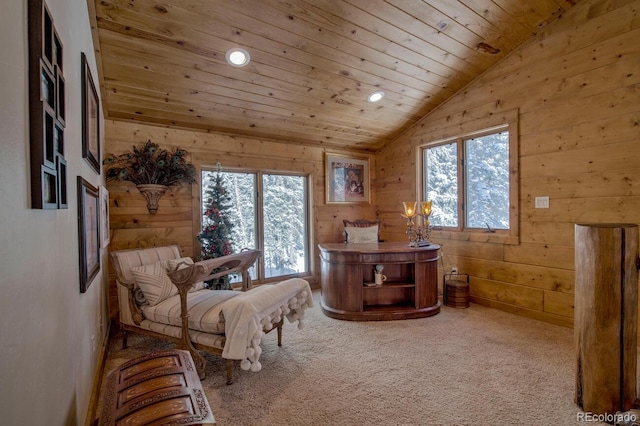 229 Lee Ln, Breckenridge, CO 80424 - photo 28