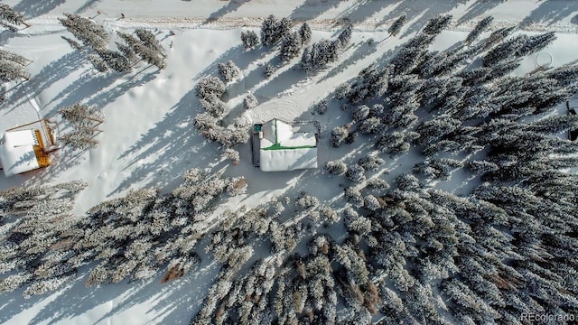 229 Lee Ln, Breckenridge, CO 80424 - photo 34