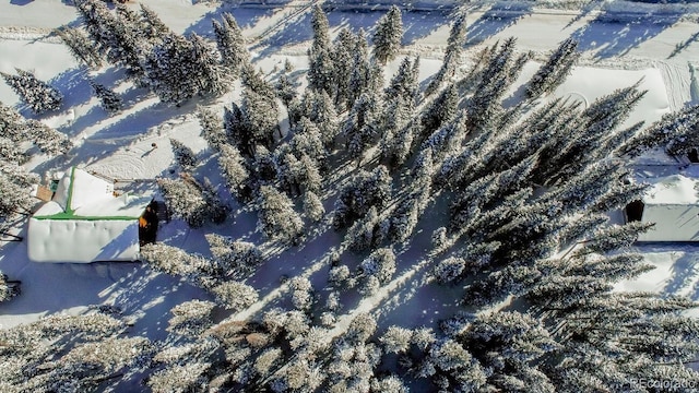 view of snowy aerial view