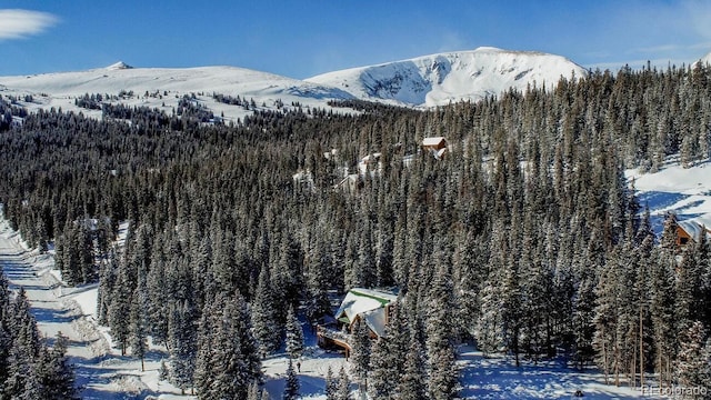 229 Lee Ln, Breckenridge, CO 80424 - photo 37