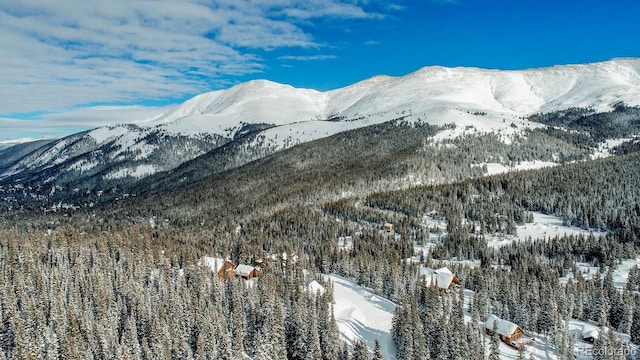 229 Lee Ln, Breckenridge, CO 80424 - photo 39