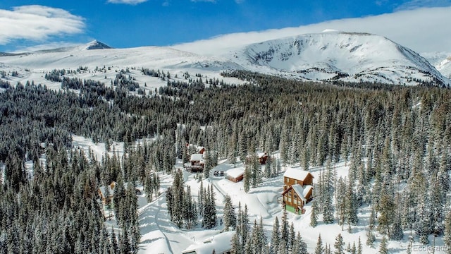 229 Lee Ln, Breckenridge, CO 80424 - photo 40