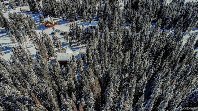 229 Lee Ln, Breckenridge, CO 80424 - photo 41