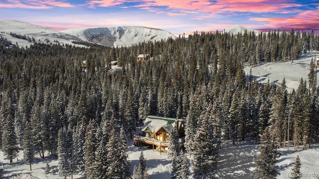 229 Lee Ln, Breckenridge, CO 80424 - photo 48