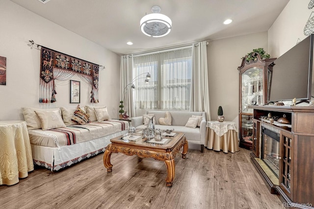 living room with wood-type flooring