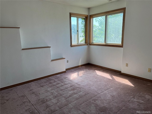 8778 W Wesley Pl, Lakewood, CO 80227 - photo 29