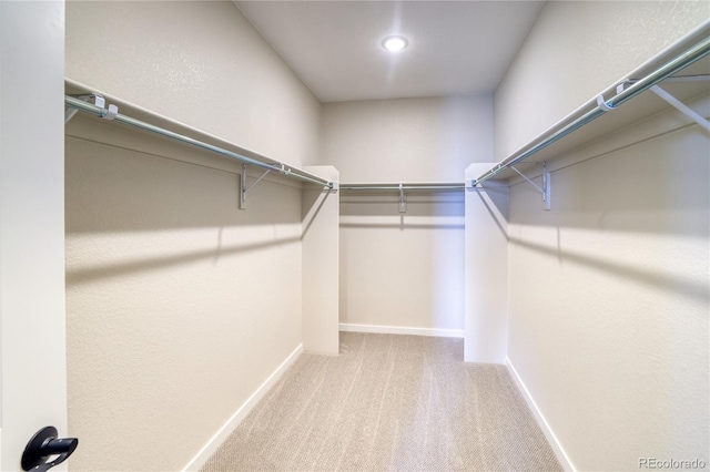 walk in closet with carpet flooring