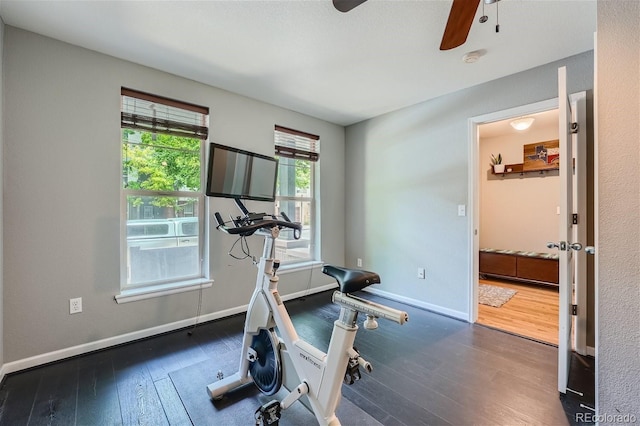 exercise area featuring ceiling fan, baseboards, and hardwood / wood-style floors