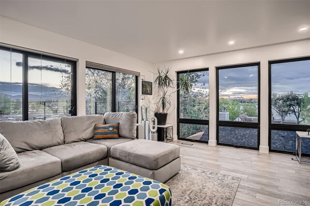 1655 Wolff St, Denver, CO 80204 - living area with wood finished floors and recessed lighting