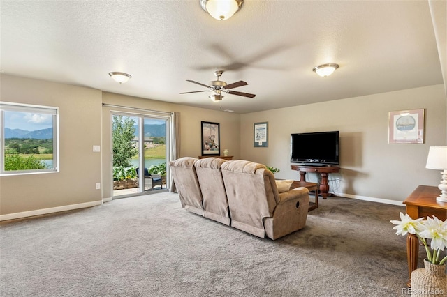 15812 Lake Mist Dr, Colorado Springs, CO 80132 - photo 13