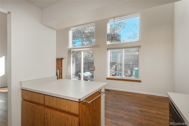 kitchen with a towering ceiling and dark hardwood / wood-style floors