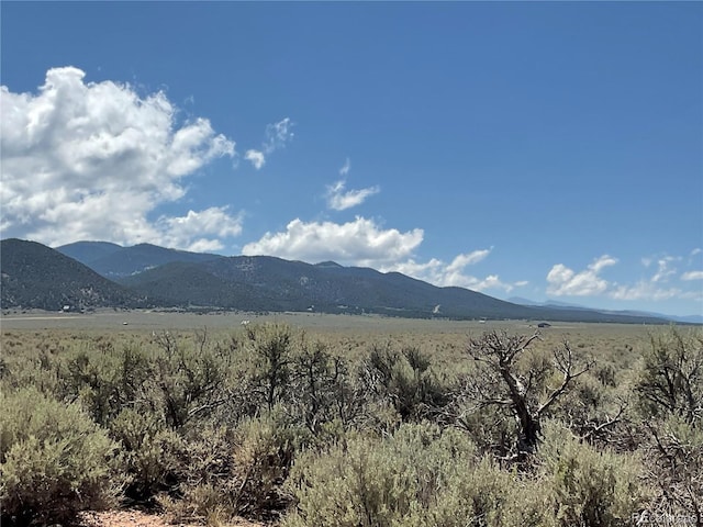 LOT29 Sancho Rd, Fort Garland, CO 81133 - photo 4
