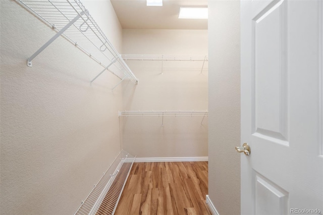 spacious closet featuring wood-type flooring