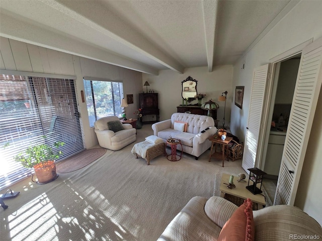 living area featuring a textured ceiling, carpet floors, and beam ceiling