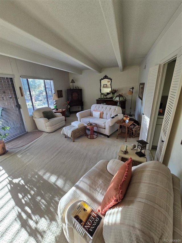 carpeted living room with a textured ceiling and beamed ceiling