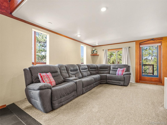 8791 Grizzly Way, Evergreen, CO 80439 - carpeted living area with crown molding and recessed lighting