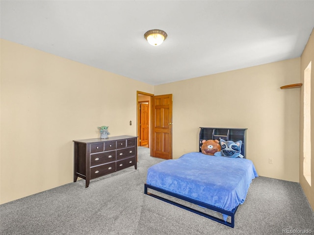8791 Grizzly Way, Evergreen, CO 80439 - view of carpeted bedroom