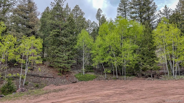918 Pinon Ln, Florissant, CO 80816 - photo 1