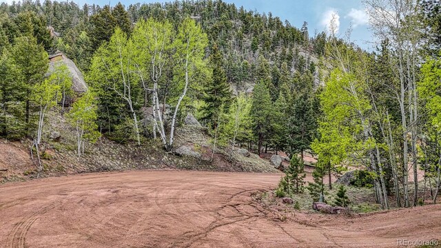 918 Pinon Ln, Florissant, CO 80816 - photo 2