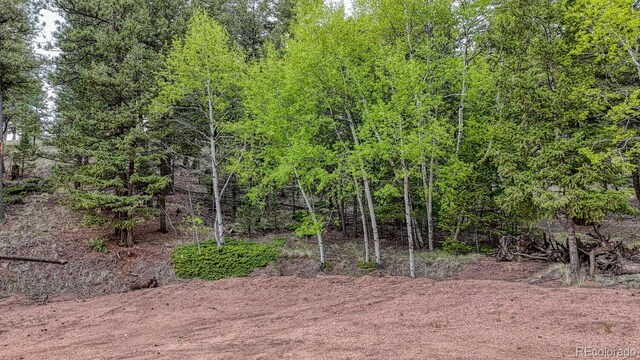 918 Pinon Ln, Florissant, CO 80816 - photo 3