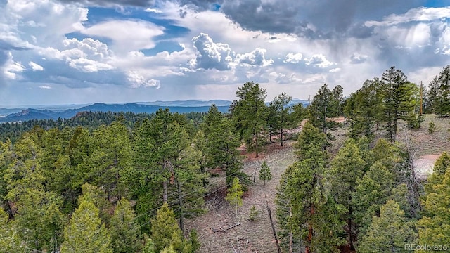 918 Pinon Ln, Florissant, CO 80816 - photo 4