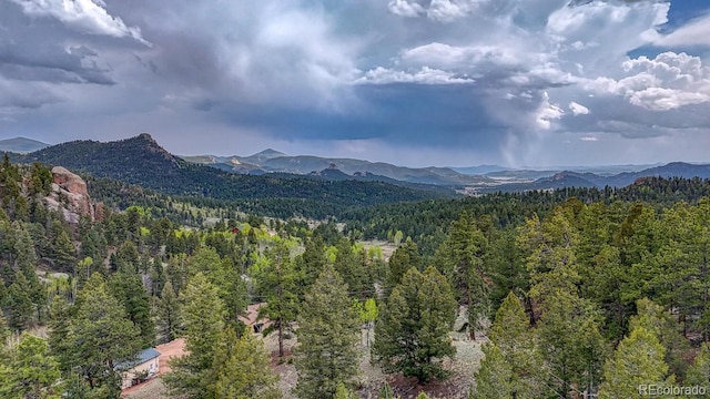 918 Pinon Ln, Florissant, CO 80816 - photo 5