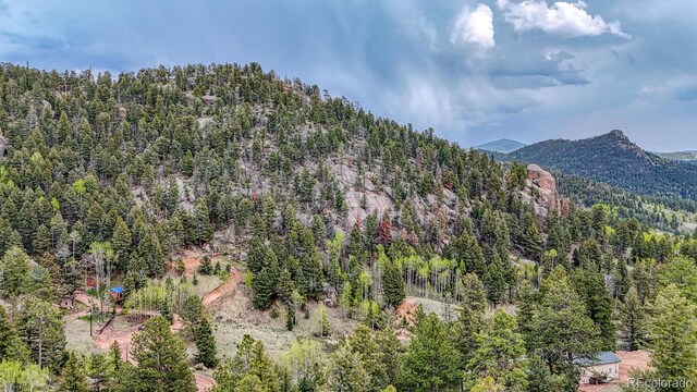 918 Pinon Ln, Florissant, CO 80816 - photo 6