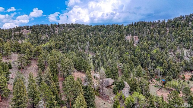 918 Pinon Ln, Florissant, CO 80816 - photo 7