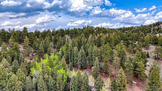 918 Pinon Ln, Florissant, CO 80816 - photo 8