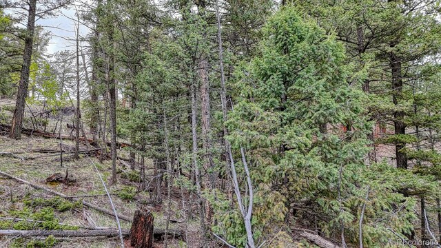 918 Pinon Ln, Florissant, CO 80816 - photo 9