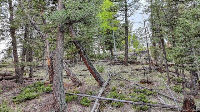 918 Pinon Ln, Florissant, CO 80816 - photo 10