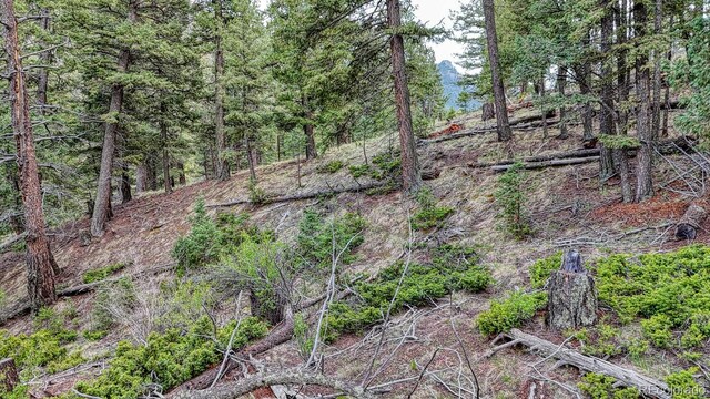 918 Pinon Ln, Florissant, CO 80816 - photo 12