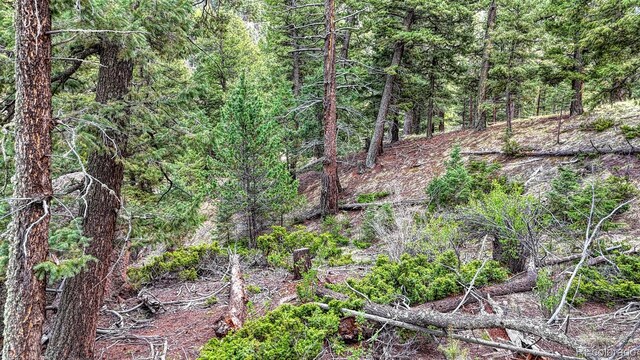 918 Pinon Ln, Florissant, CO 80816 - photo 13