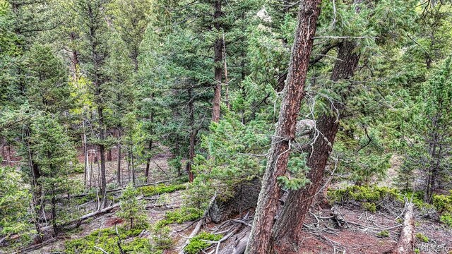918 Pinon Ln, Florissant, CO 80816 - photo 14
